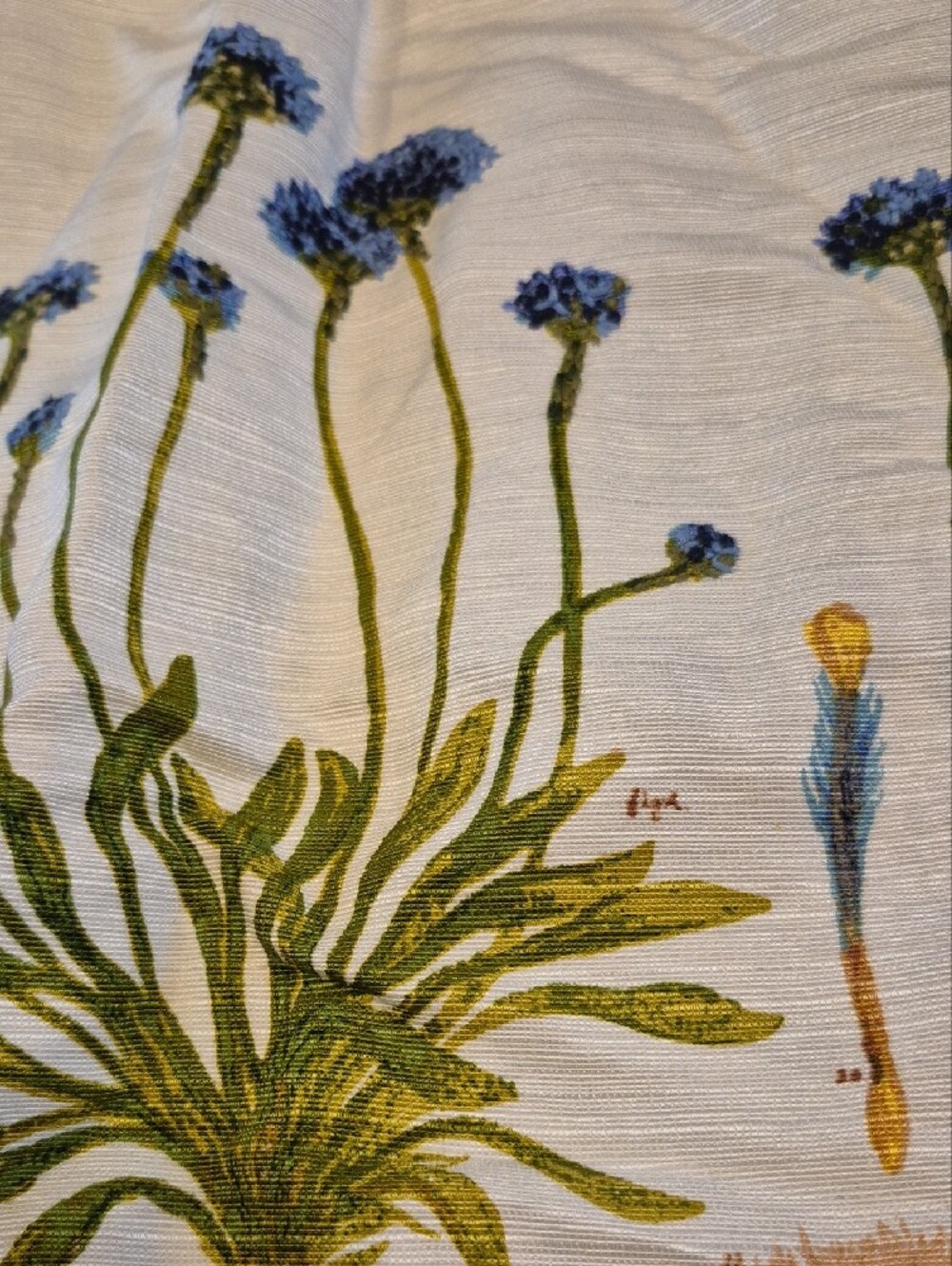 Tory Burch White Short Sleeve Top with Blue Floral Border - Picture 4 of 5